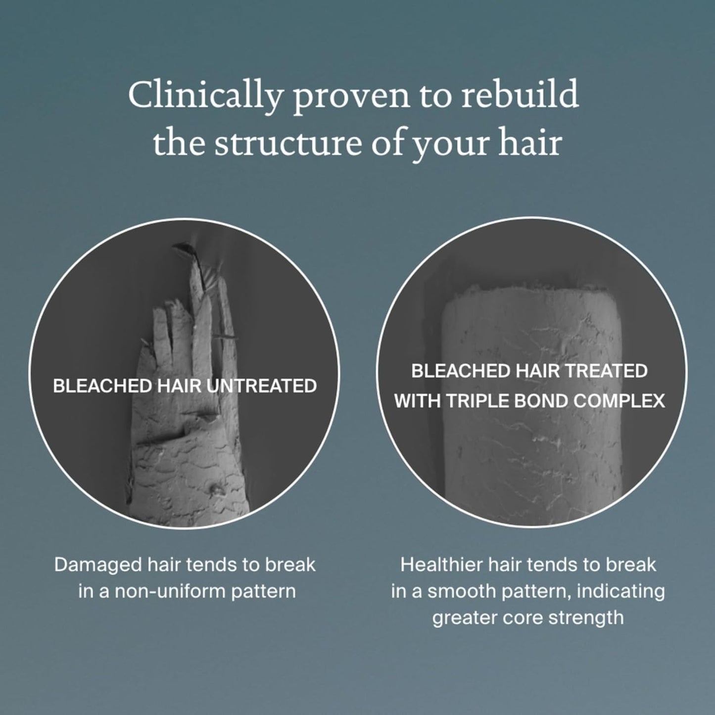 Living Proof Triple Bond Complex Leave-In Treatment and Hair Mask