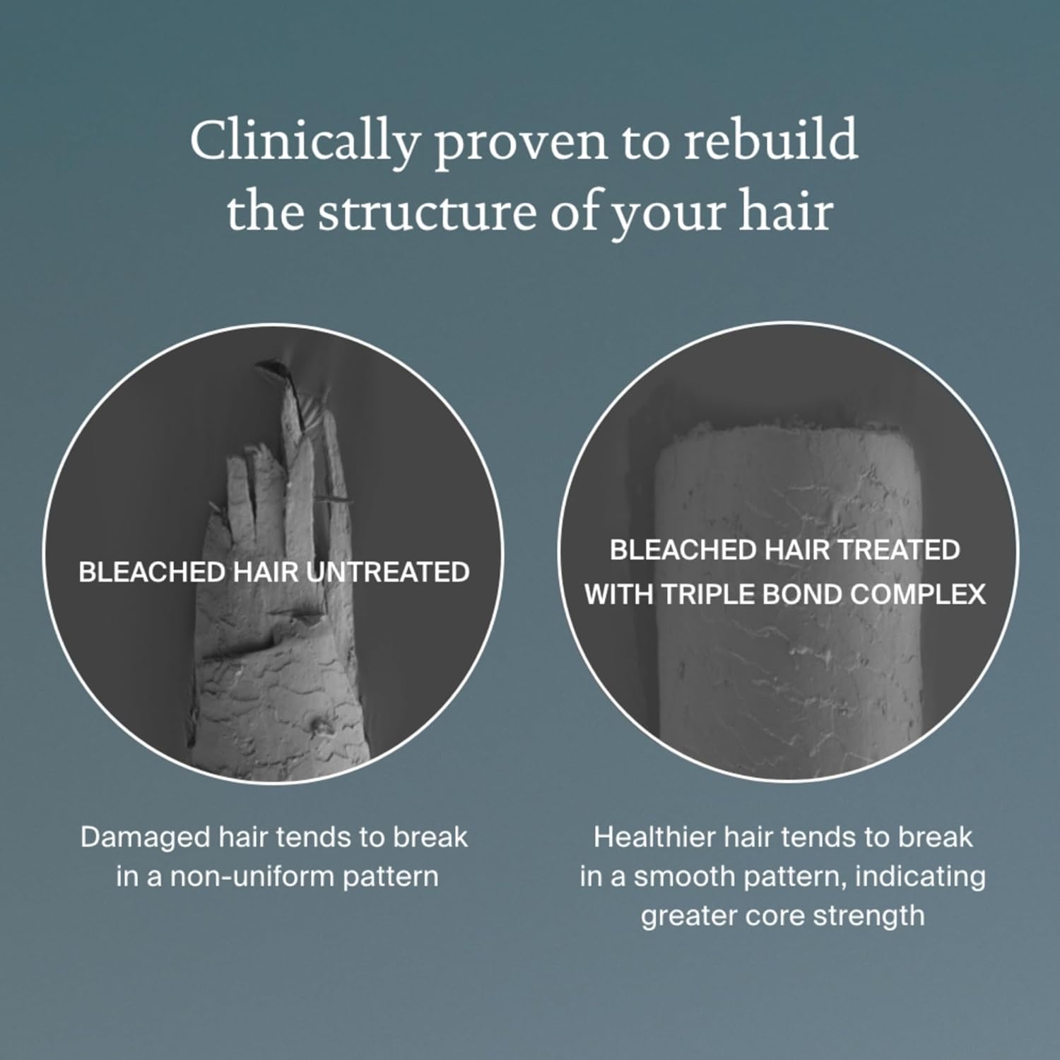 Living Proof Triple Bond Complex Leave-In Treatment and Hair Mask