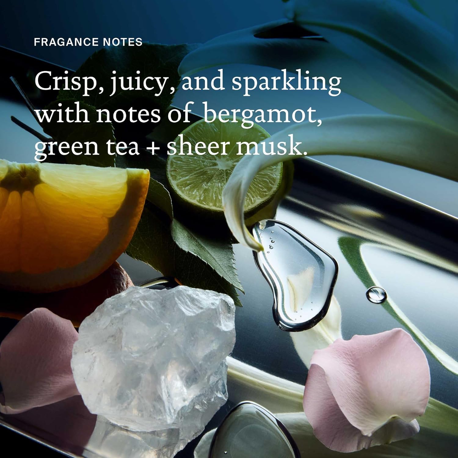 Living proof Perfect hair Day Shampoo, Hydrating Shampoo for Women, Gently Cleansing & Enhances Shine